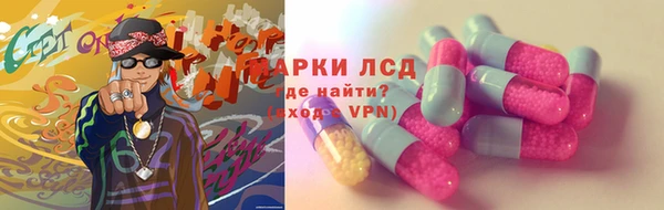 стаф Дмитров