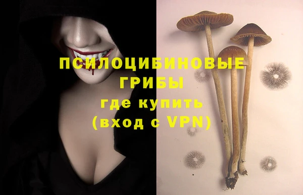 MESCALINE Гусиноозёрск