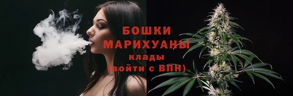 стаф Дмитров