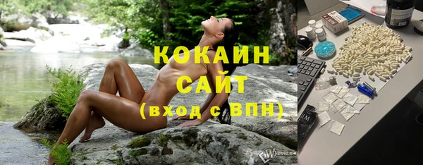 скорость Гусев