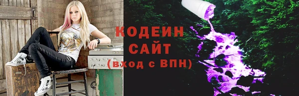 скорость Гусев