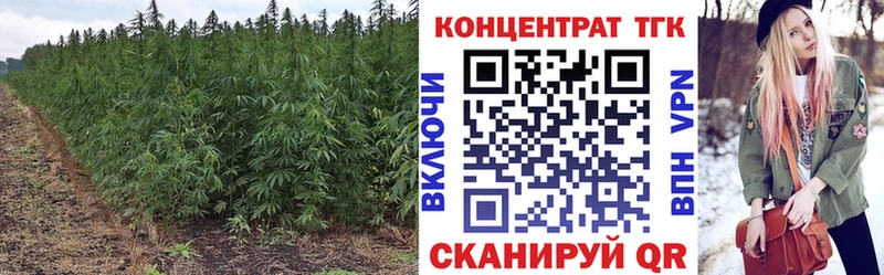 наркошоп  Сретенск  Дистиллят ТГК жижа 